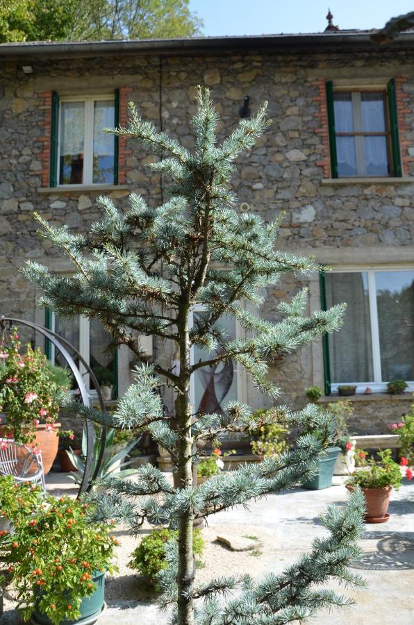 Studio Malou, Cuisine, Salle D'Eau, Terrasse Amenagee Olliergues 外观 照片