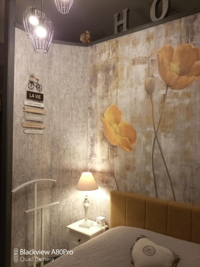 Studio Malou, Cuisine, Salle D'Eau, Terrasse Amenagee Olliergues 外观 照片