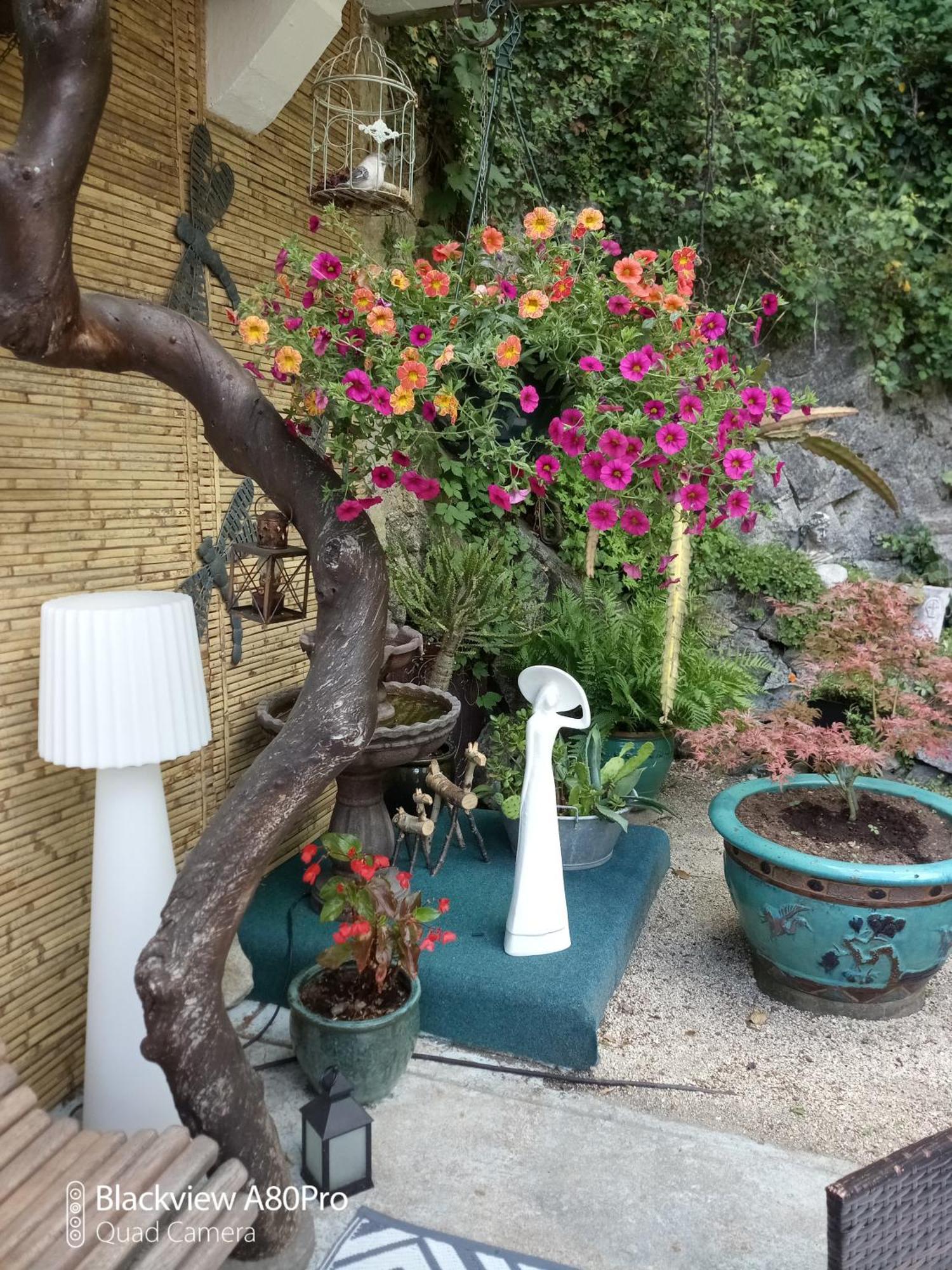 Studio Malou, Cuisine, Salle D'Eau, Terrasse Amenagee Olliergues 外观 照片
